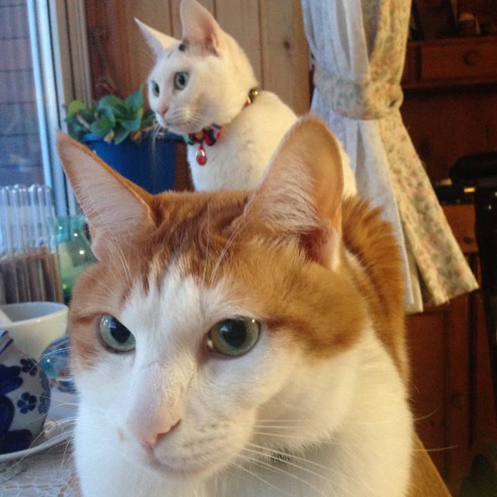 A10affec ccda 4327 9b5f 35972eb6d01c 1518124988667