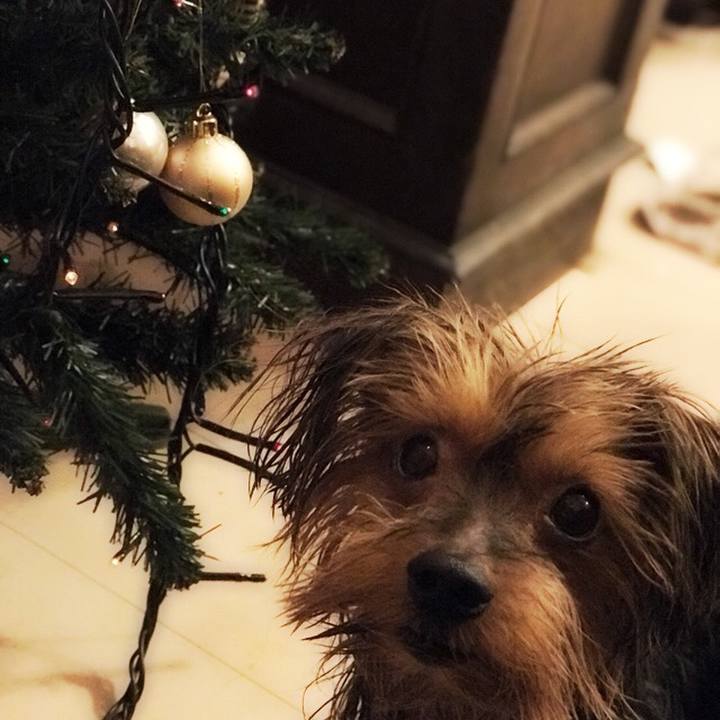 A10b17bd fa18 4bbe adfe fdc3a3a5a4cb 1512724405741