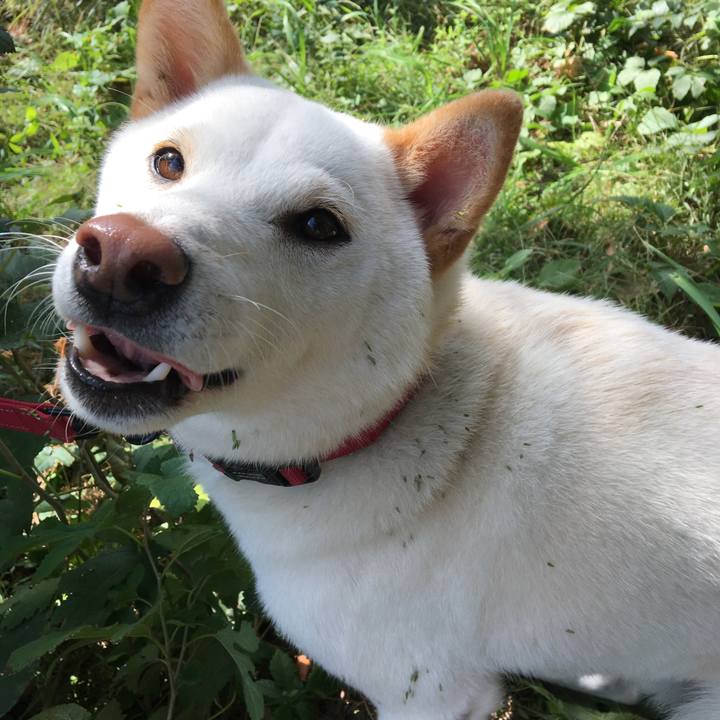 A10b2375 3c57 4a64 836d ac23943a61e2 1540000955194