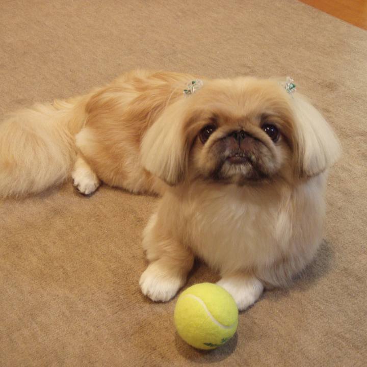 A10b23e3 6db9 44d0 a668 02d6ae4119d8 1623188575801