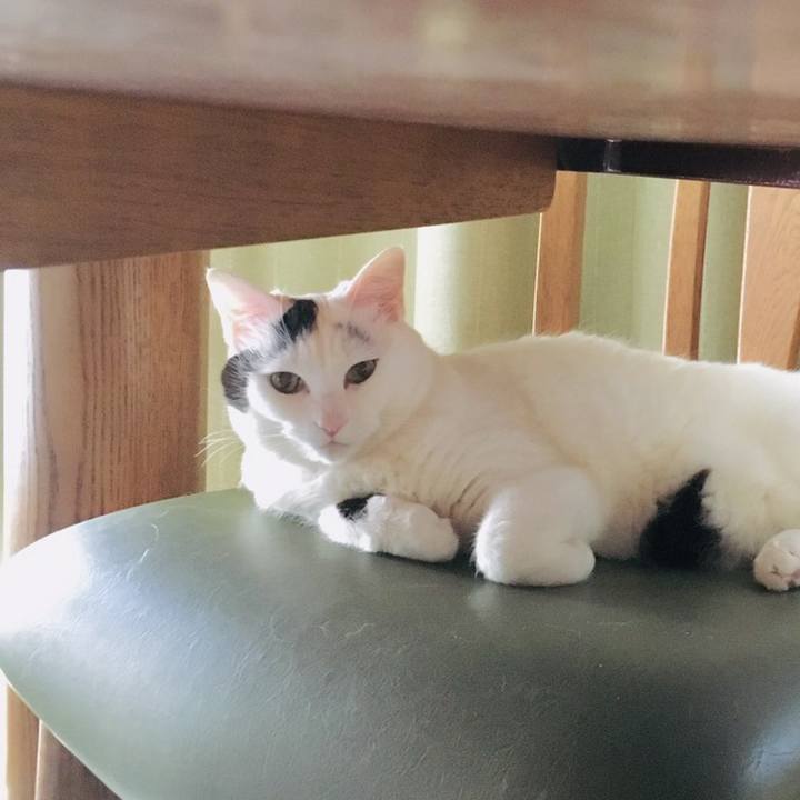 A10b2ae4 2686 45df 973d b512c7c4ded1 1558648318454