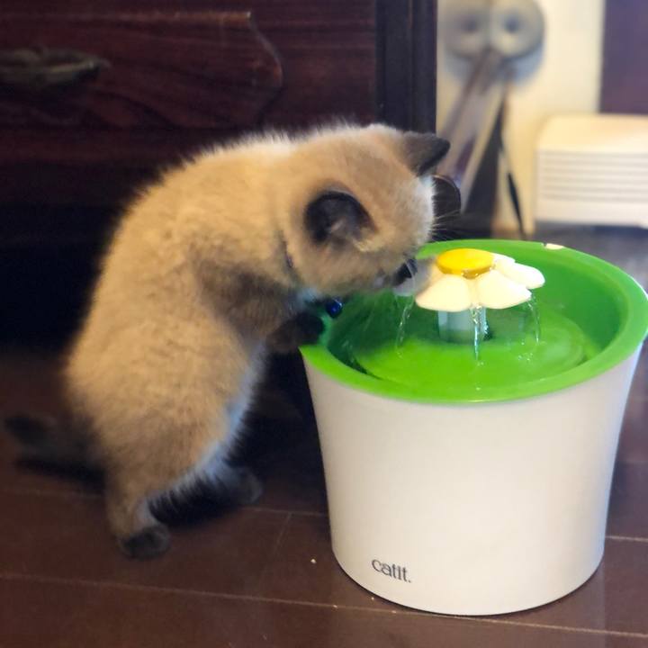 A10b3059 ad35 4f09 b362 1e9d4187d113 1585089879695