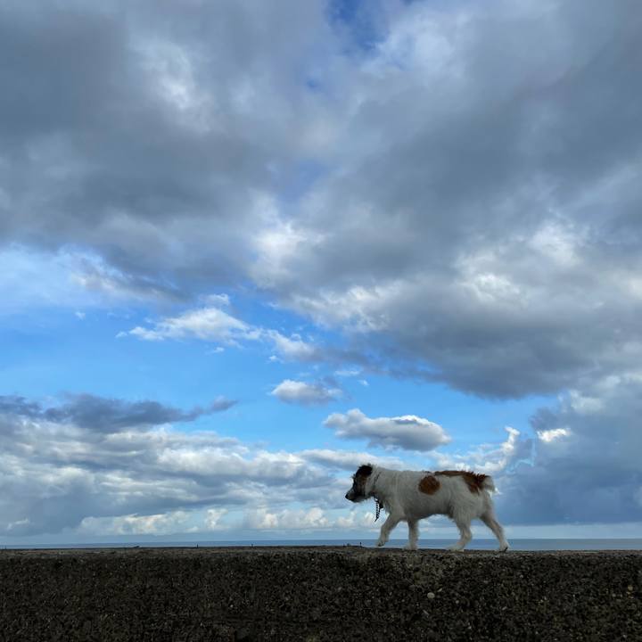 A10b3f88 7e5c 4149 a0a2 e0bc36733a51 1631229315322