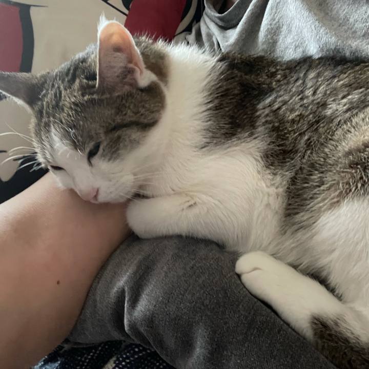 A10b4032 8d2e 4ea9 92a6 ec1a82dd5408 1623912925616