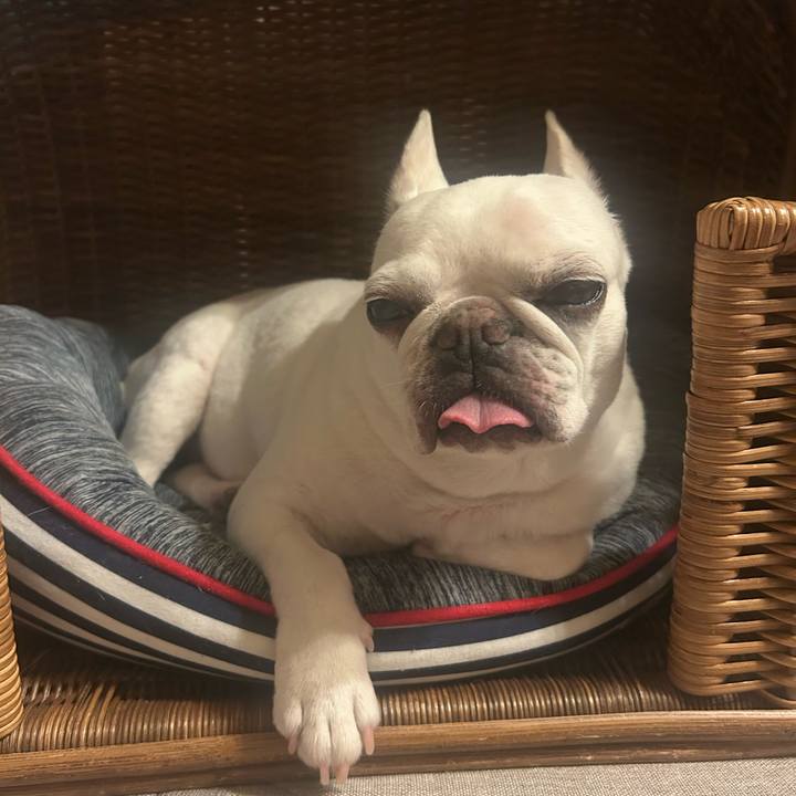 A10b501c c5f3 4193 8388 1e4f253c278f 1756607616030