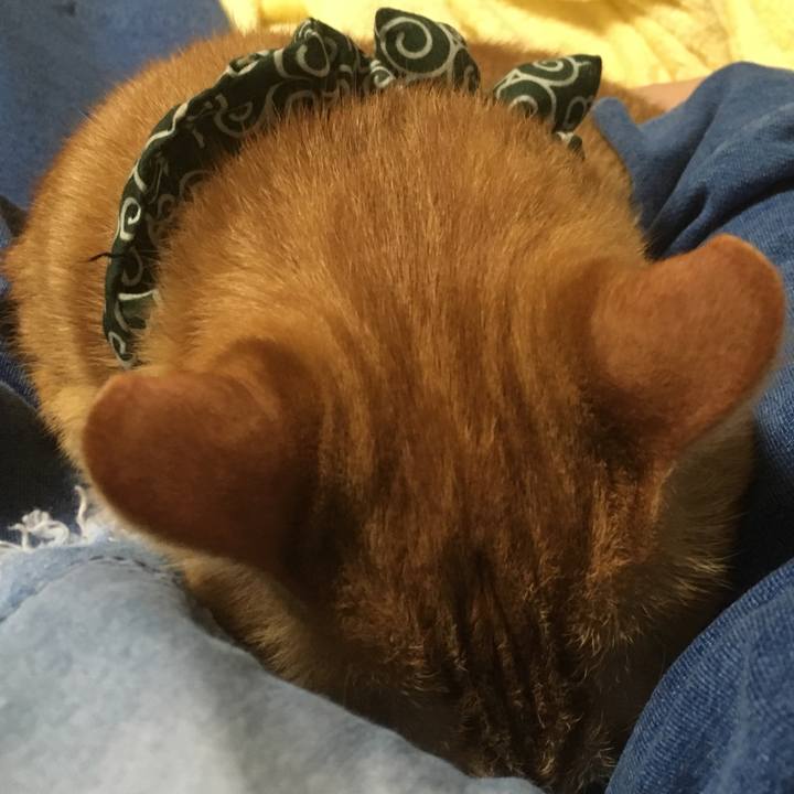 A10b6598 6713 4292 9cca 8069500d48a9 1537359548903