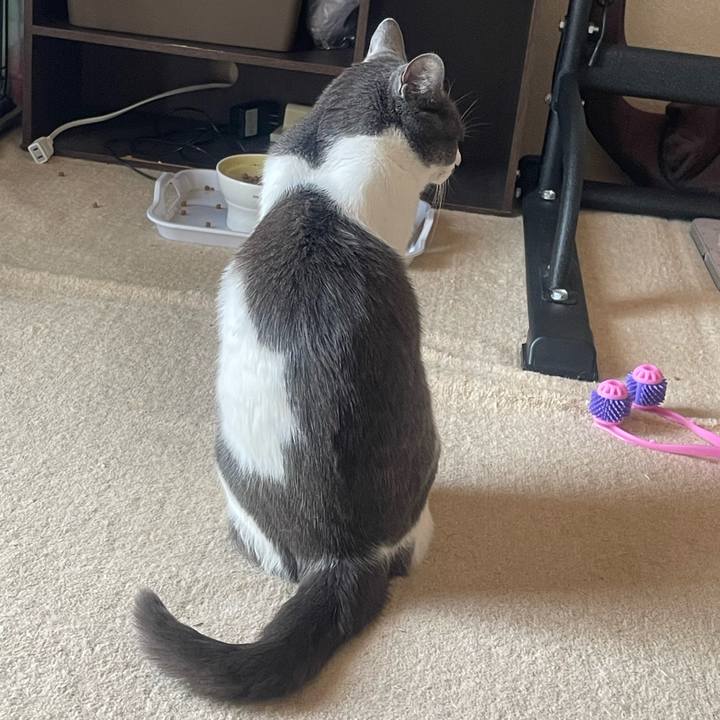 A10b8880 ca38 496a 8750 a67b082d64f9 1649384119785