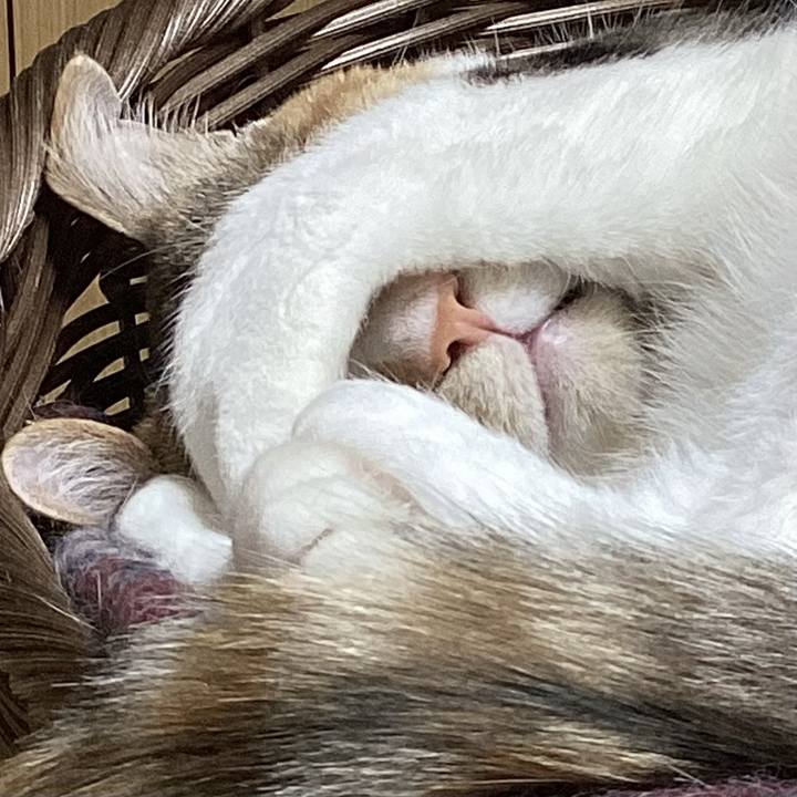 A10b889f dbfc 4d3e 9a6b 32585b690c5e 1724629776842