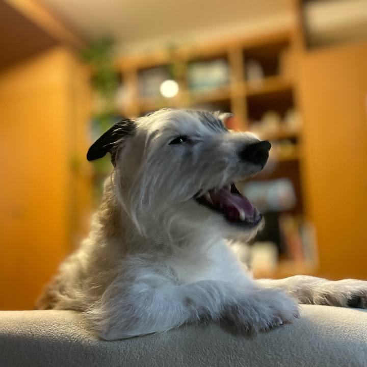 A10b966e f057 48dc afc0 f98badfcc993 1717505340696