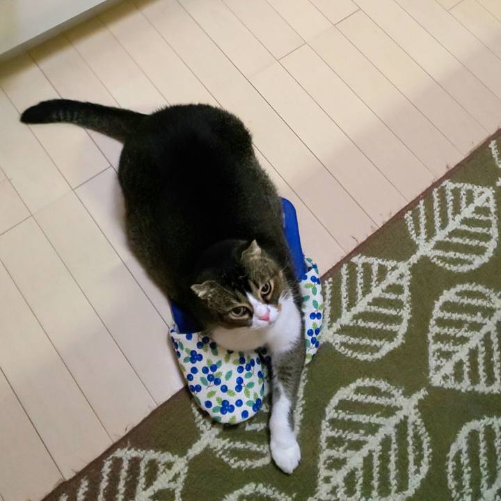 A10ba0a7 6eb7 4287 9971 caf5b4643691 1607347519876