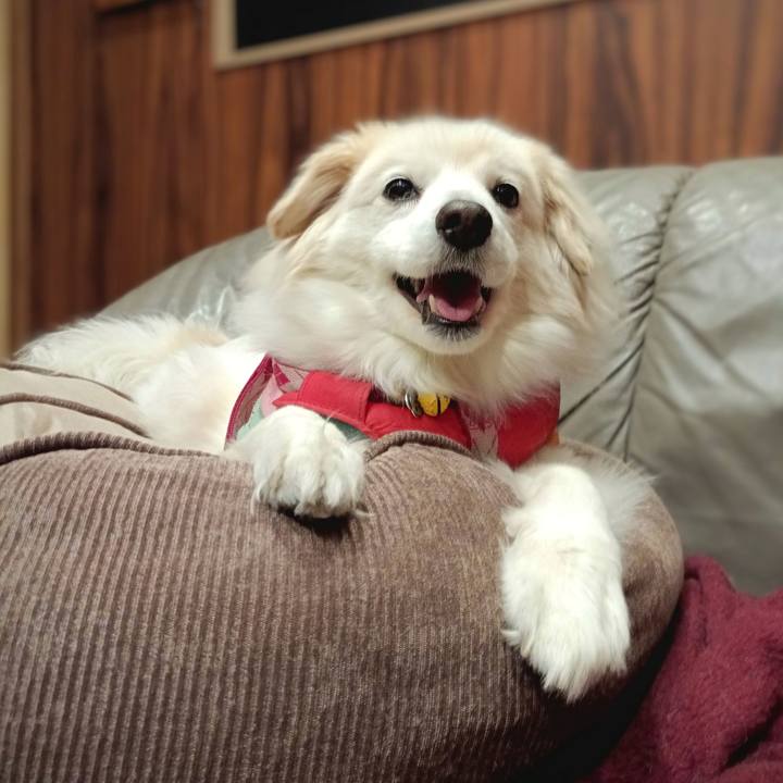 A10ba227 e8dd 4c97 910f ac95e5ce91c5 1686431095865