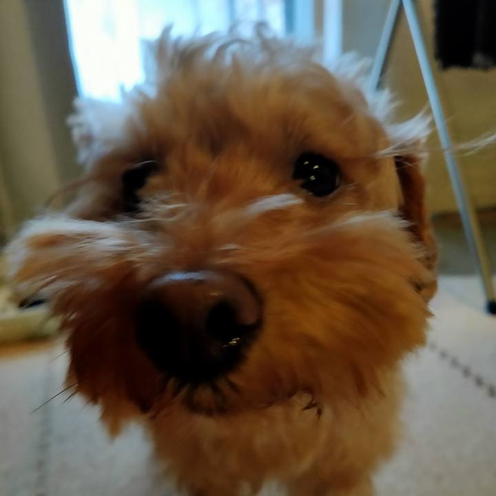 A10ba537 215d 412d bc3c 8916bd72d35a 1579645266850