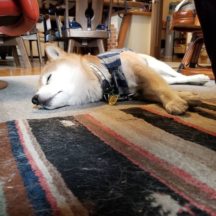 A10bb29a a9cc 496f 946d 71744afb67e0 1613171129144