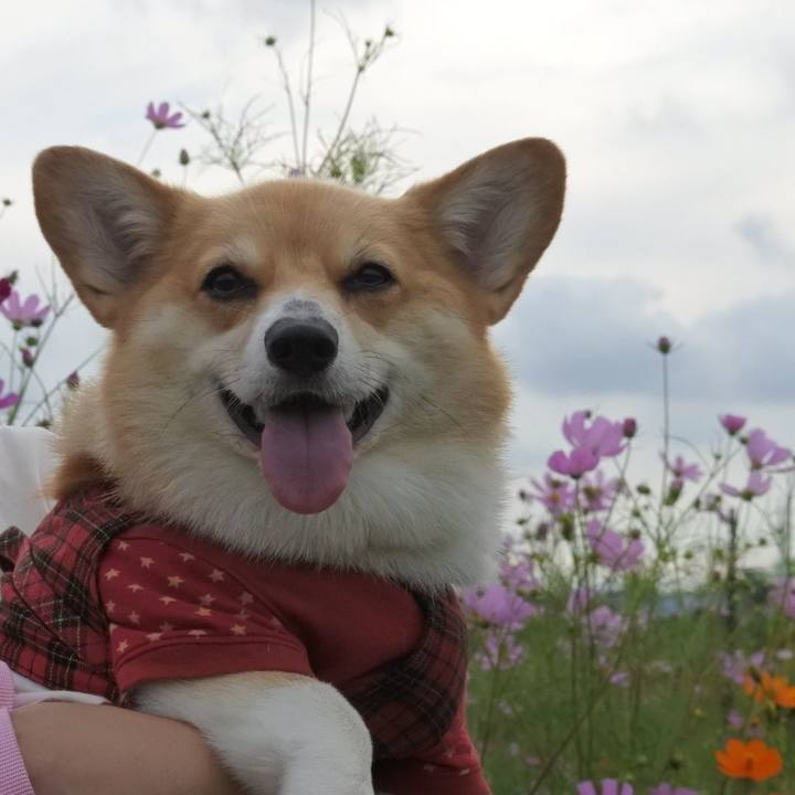 A10bbd1f a652 470a 891c e71db0086051 1602508102212