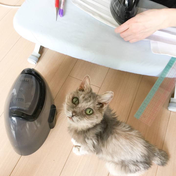 A10bc209 489d 41a2 9e47 3e3b34e00e62 1586057260180