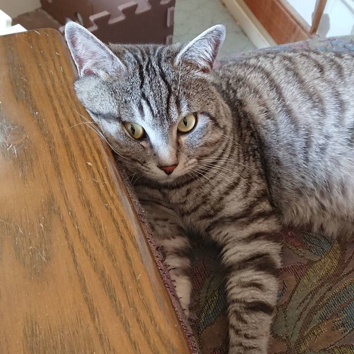 A10bef9f eaaf 49f8 b0be 9b84ef8c4582 1519605755021