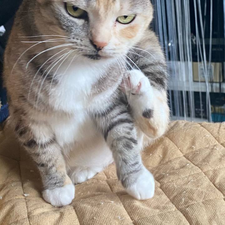 A10c3b21 ef62 4e7f a58e 7b0ce589f8e4 1614875628028