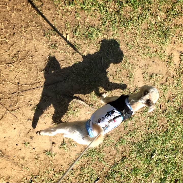 A10c738b bf73 47f7 acae 0610c419c115 1525523207307