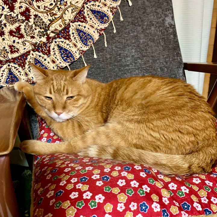 A10c8497 d1d9 444d a487 8a0b095235aa 1615122897202