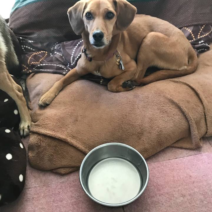 A10cb3d0 0610 48a5 9e77 2d7cc533582f 1518956818521