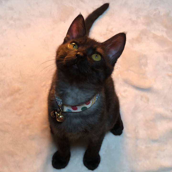 A10d0f41 6cd7 4b61 9dfb 415c35c1e5e0 1609930480394