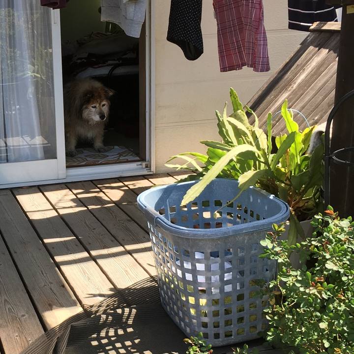 A10d4cb2 9d5c 4e16 92cf d48f93971cfe 1563529867406