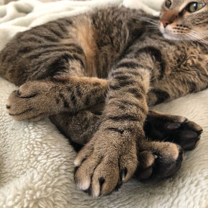 A10d4fed 94eb 4767 b9bb a3f56c5dcb42 1560679592011