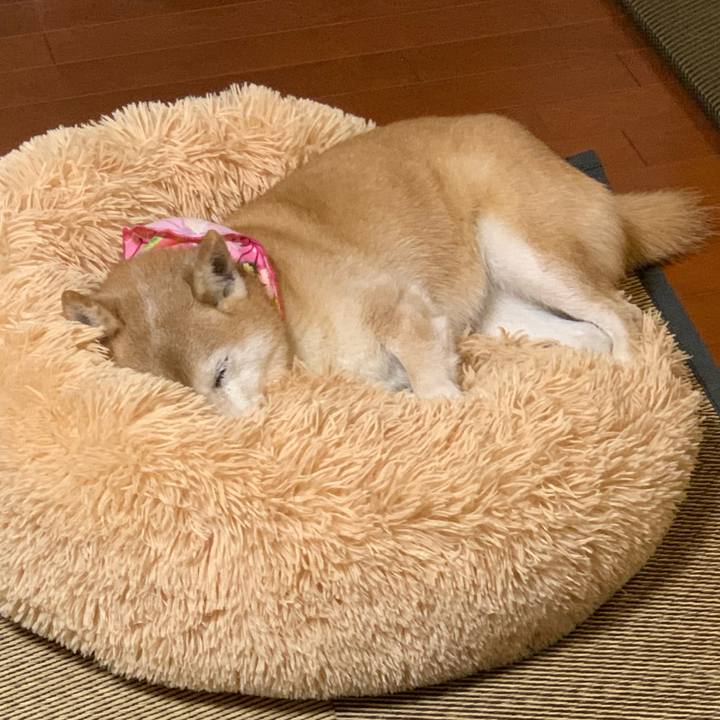 A10d7798 8afd 4287 b4b3 f6ea73f07385 1704888388619