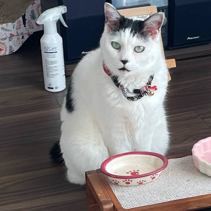 A10d8cf8 6bbe 4c86 a459 fe24c01daa3e 1710405526414