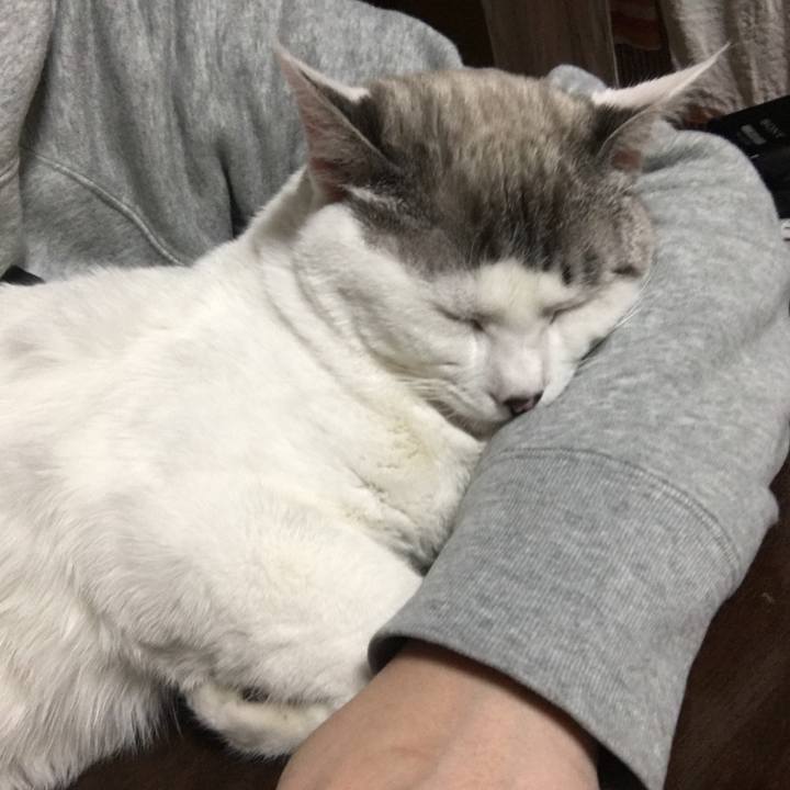 A10d95dd f3d5 4fe2 91ae 5d174e93cfd9 1552830340478