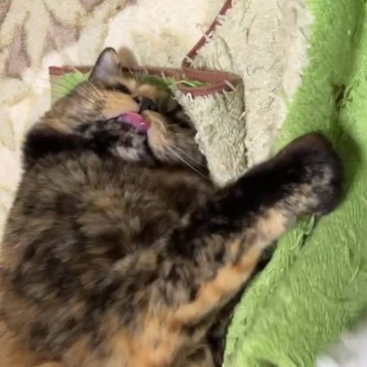 A10dc2d3 691b 484c abac c9c78338a8f1 1734721908224