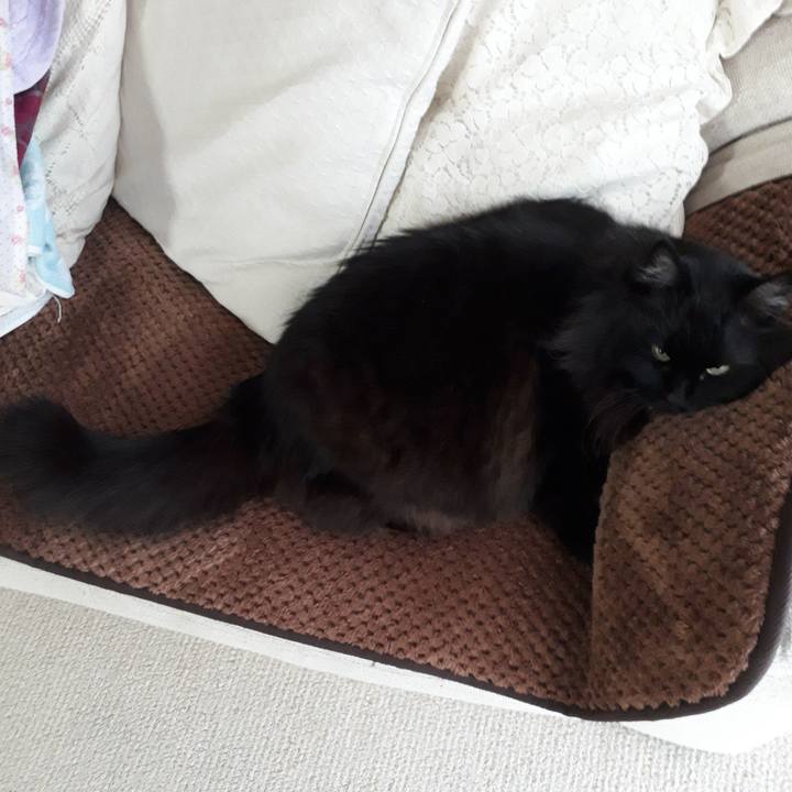 A10dca61 c1a4 4e04 92c8 c10116efee64 1519115056817