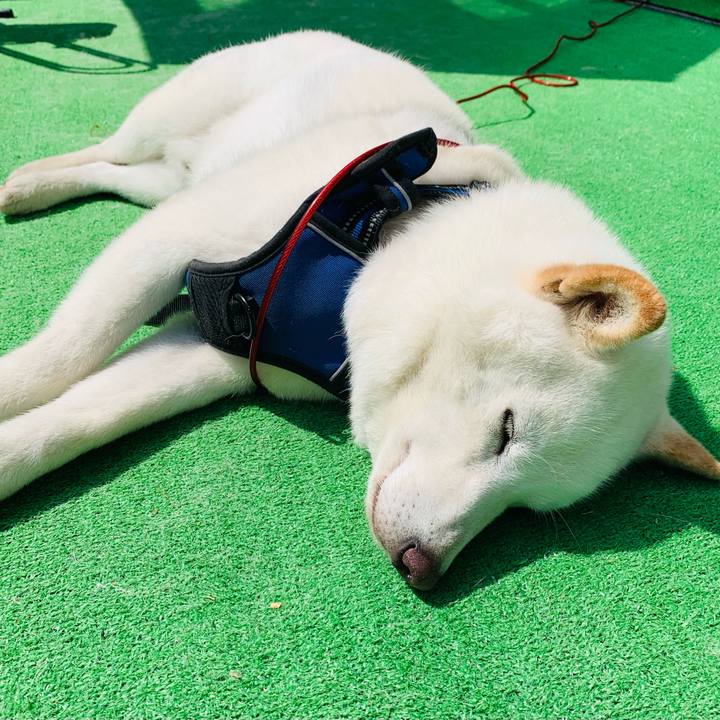 A10df520 b3cb 431c a817 9e53ccafbb68 1626842132390