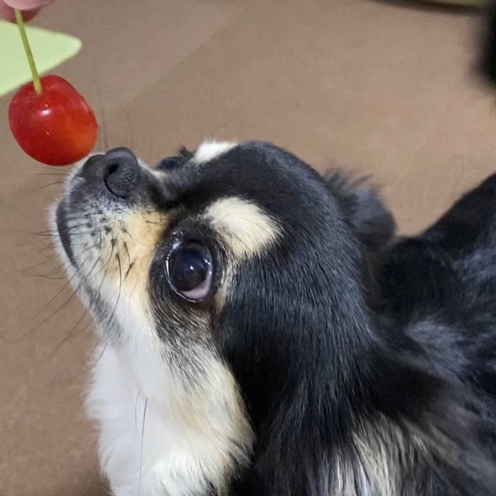 A10e6723 46ea 4359 8684 c8a5f6fd9070 1625377152142