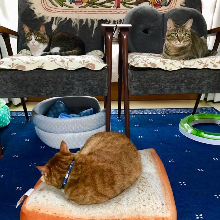 A10e7bc4 adba 46af ac84 f894fc595460 1527234491395