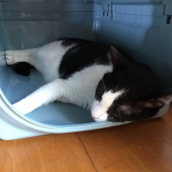 A10e9c36 37a9 467c a087 730c0ed59f40 1756280249900