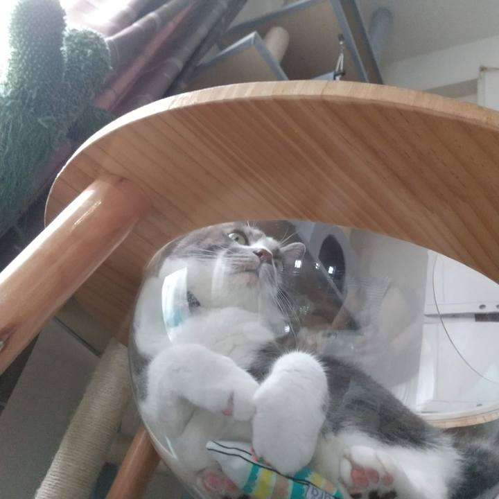 A10ee132 f28f 4860 9b19 536535897faf 1724570889908