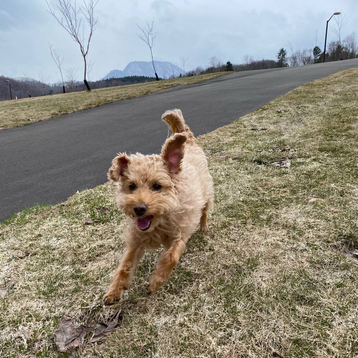 A10eff93 86f3 46d2 ae33 b85b027d6646 1618976996500