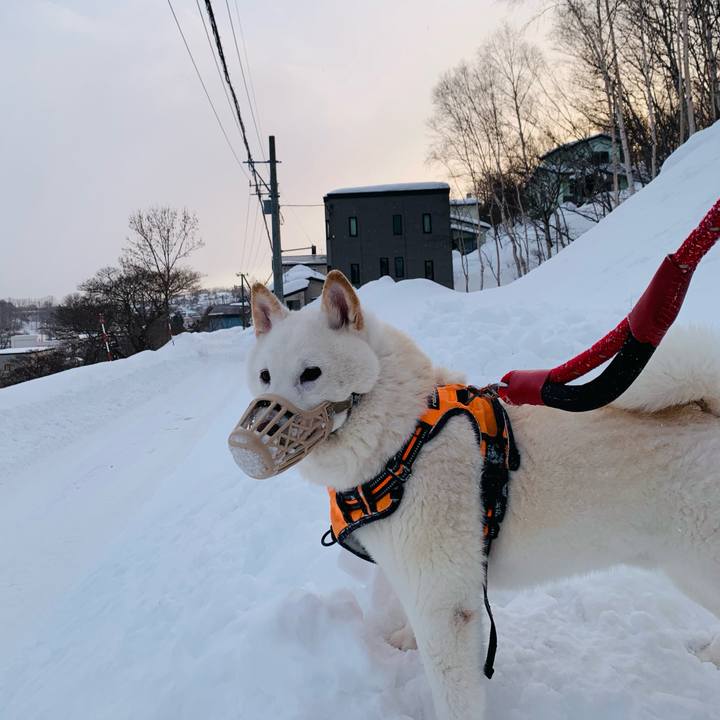 A10f6a8f 6e82 440e a3d5 45bbdfc96432 1675809814236