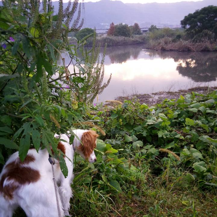 A10f94aa 50a2 460f a558 7d01e6a3ee0b 1510490182755