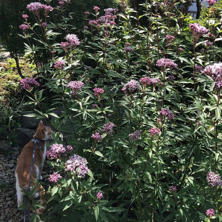 A10fa394 7856 4f70 a50f e63b13512b98 1539402446486