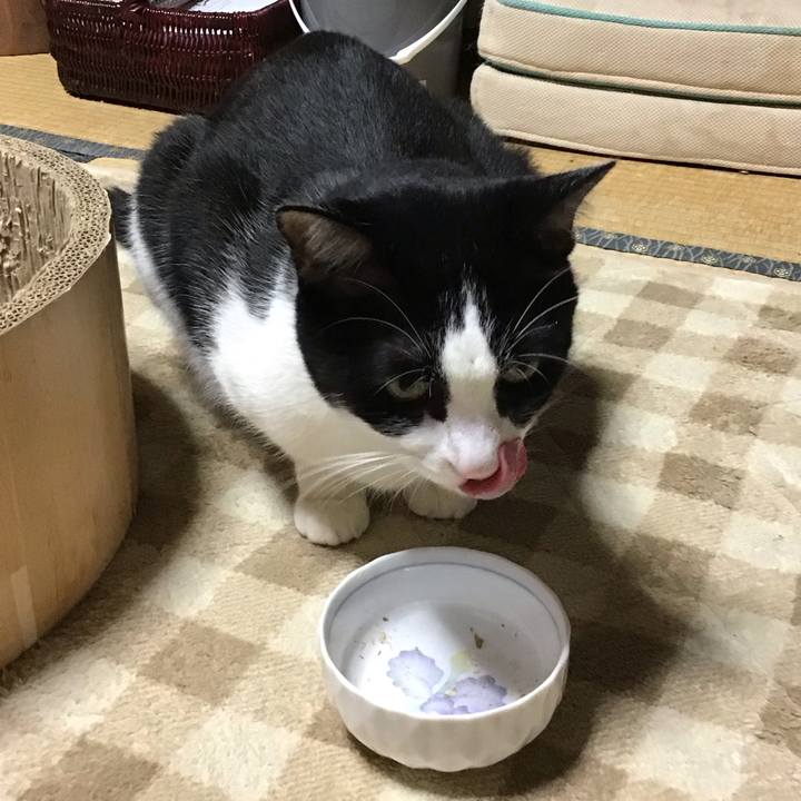 A10fb4f2 2b2f 4150 bde1 293214cec290 1730279864179