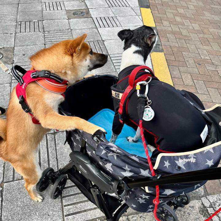 A10fefc9 b4e4 4298 865f efddb978b35b 1655628707970