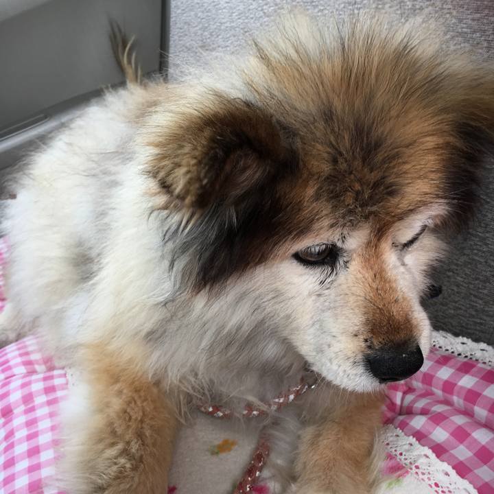 A1102c5f 43a3 4059 9bee 21dd56646ee9 1613029550008