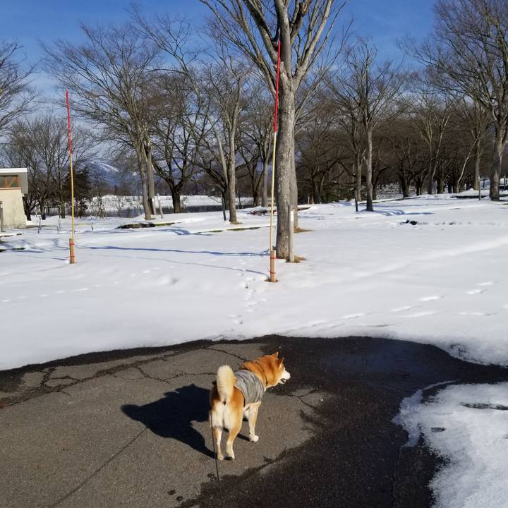 A1106aba fc26 4ff4 b977 12c7ce630ca5 1640320145951