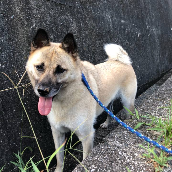 A1108ac1 a2d6 478f ac91 e894529721d2 1598181305989