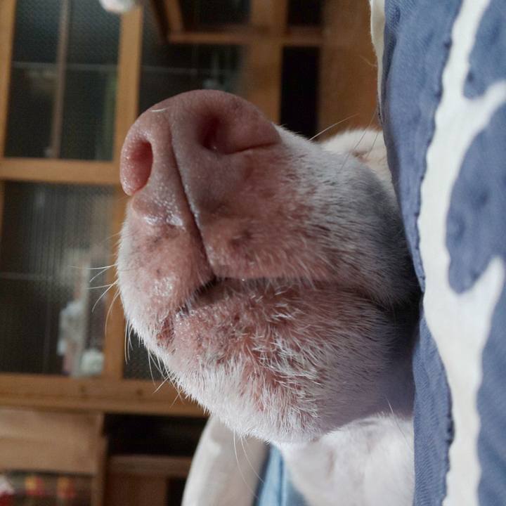 A110b318 639d 4ee9 9e65 bf54454cd56c 1543126725341