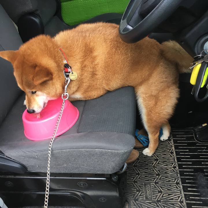 A110cc34 9042 4ba5 87eb 3c2ed54bbcb6 1530347474252