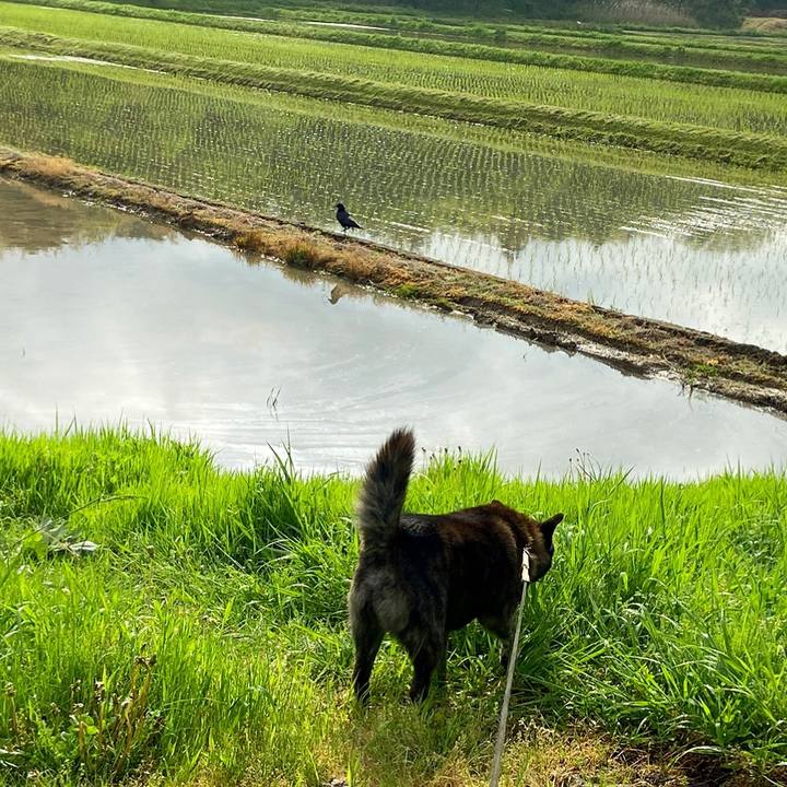 A1112c5c 0baf 4f3d 8fc8 e76ba66418ed 1589153442786