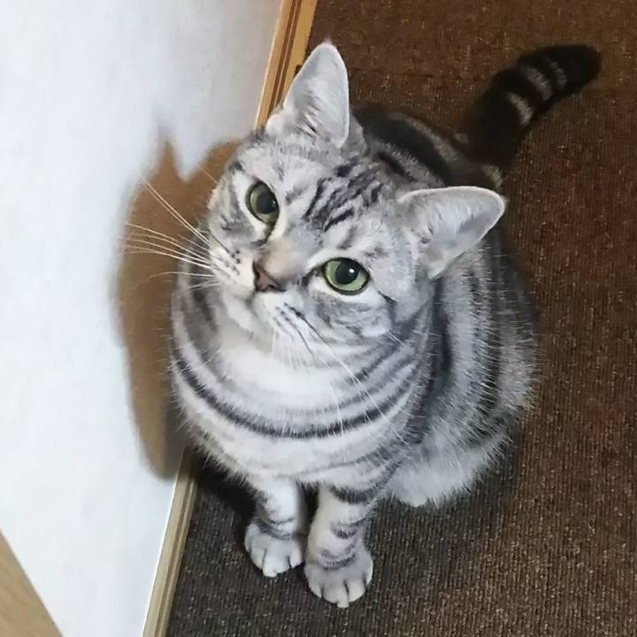 A1112ee5 61ba 4a55 834d d80da0bcf3ab 1608891512571